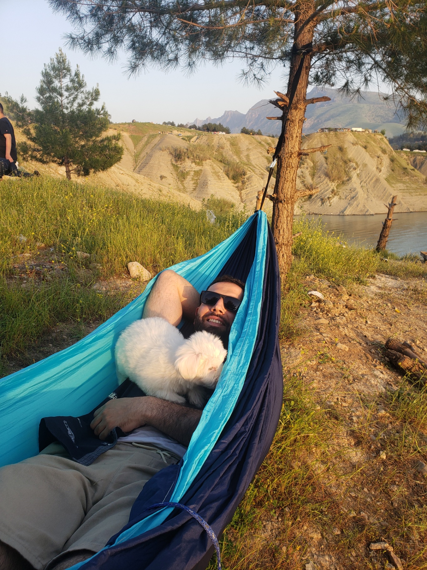 Hammock with a fluffy dog by the lake